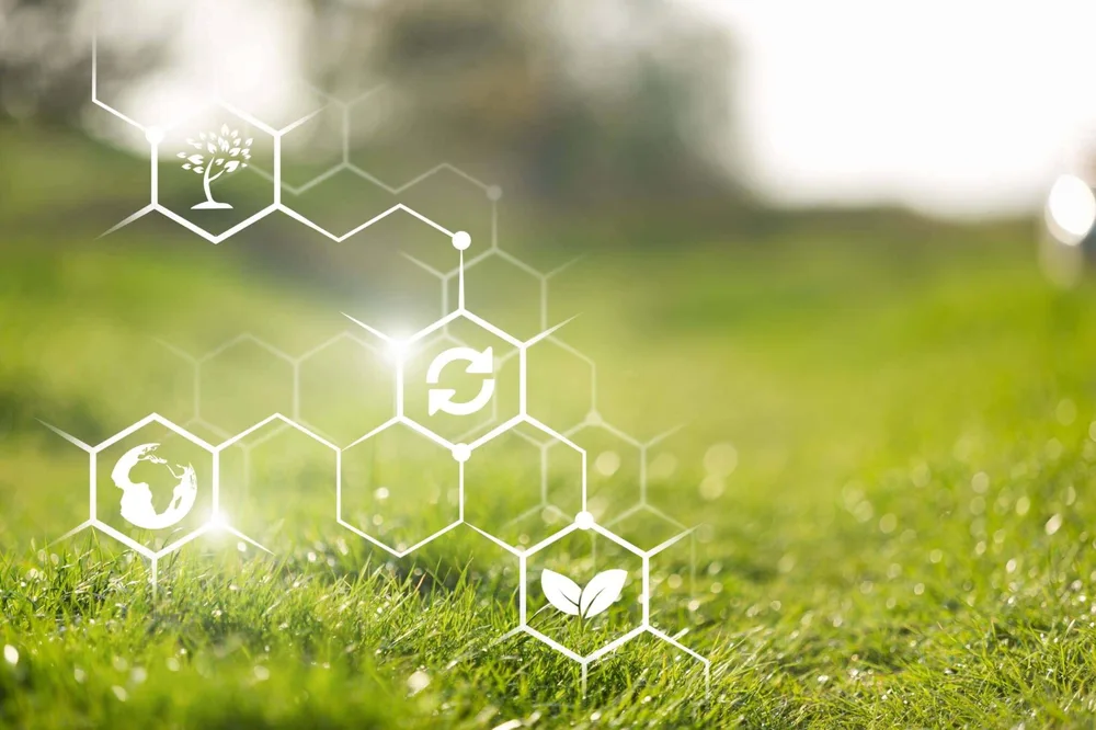 Arti Decorative Produkte sind nachhaltig und umweltfreundlich